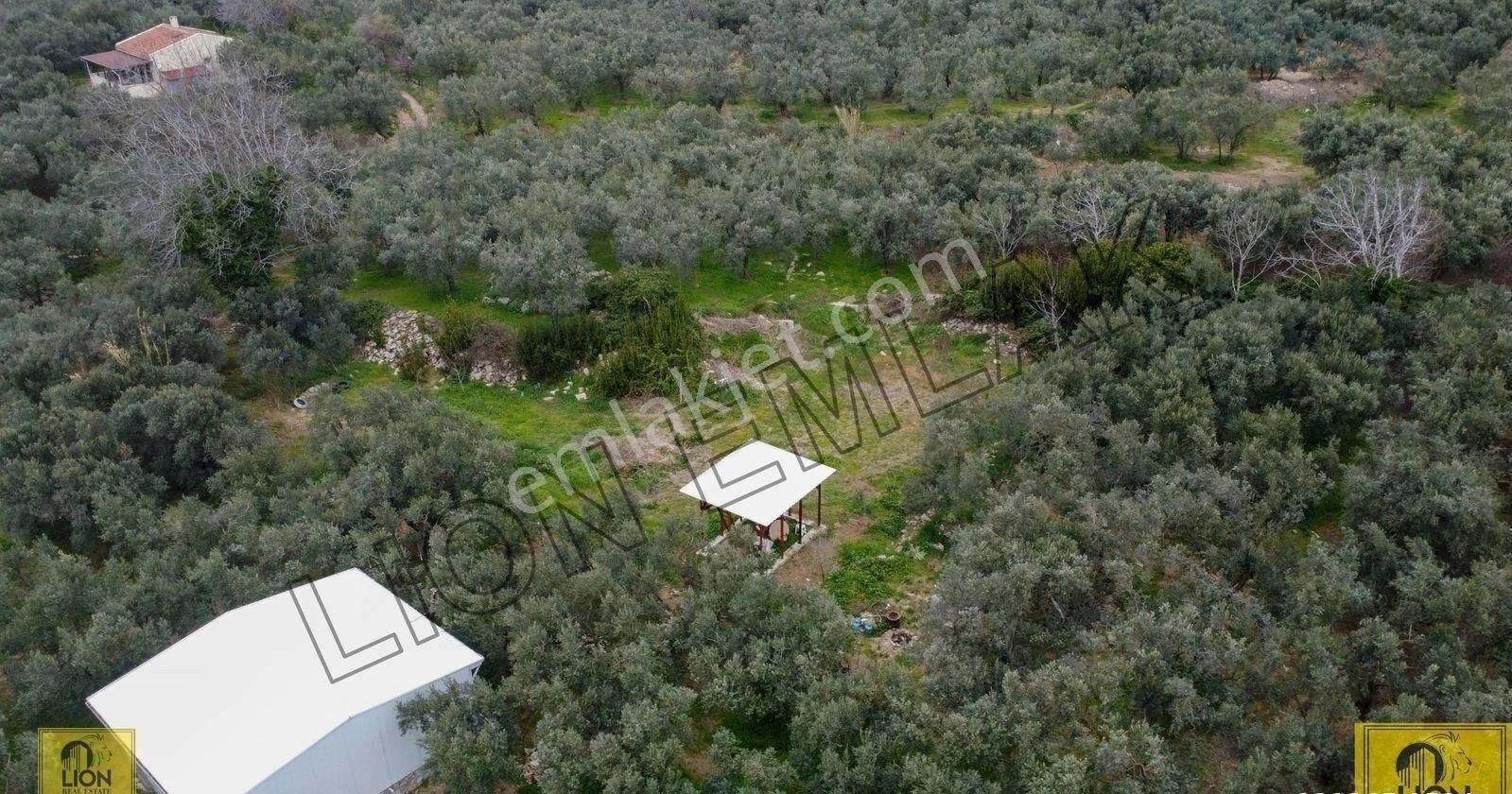 🟨lıon Emlak'tan Erdek Yukarıyapıcı Mahallesi Kadastro Yoluna Yakın Yatırımlık537m²satılık Bahçe⬛ - Görsel 28