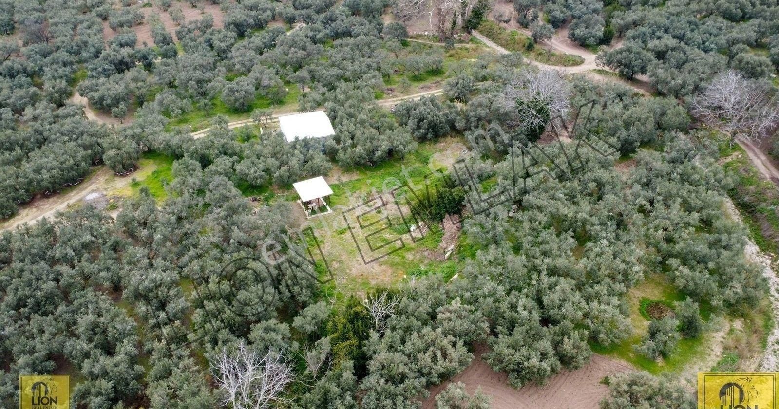 🟨lıon Emlak'tan Erdek Yukarıyapıcı Mahallesi Kadastro Yoluna Yakın Yatırımlık537m²satılık Bahçe⬛ - Görsel 6