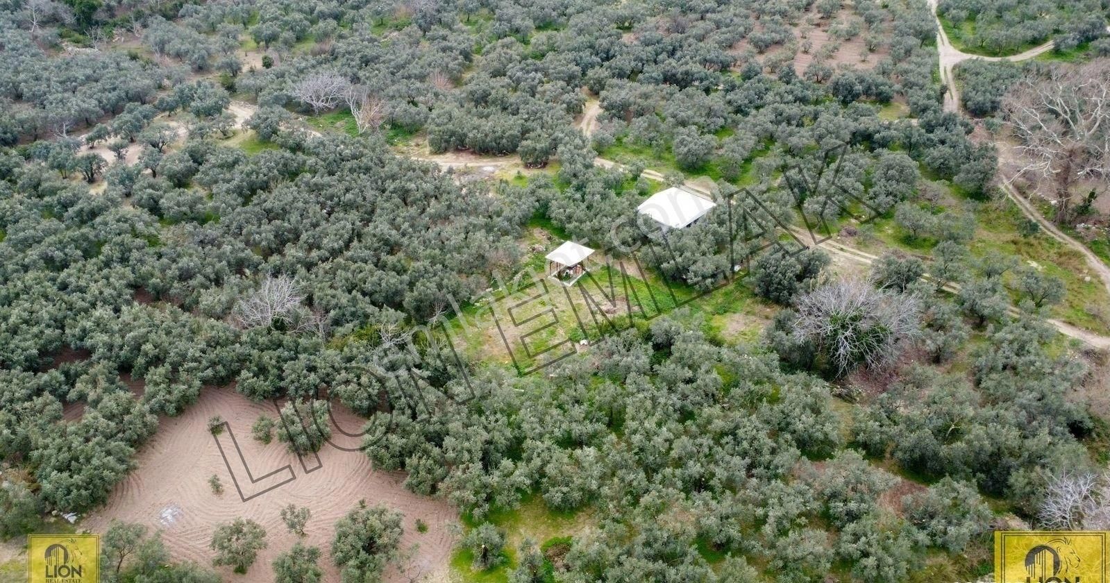 🟨lıon Emlak'tan Erdek Yukarıyapıcı Mahallesi Kadastro Yoluna Yakın Yatırımlık537m²satılık Bahçe⬛ - Görsel 17