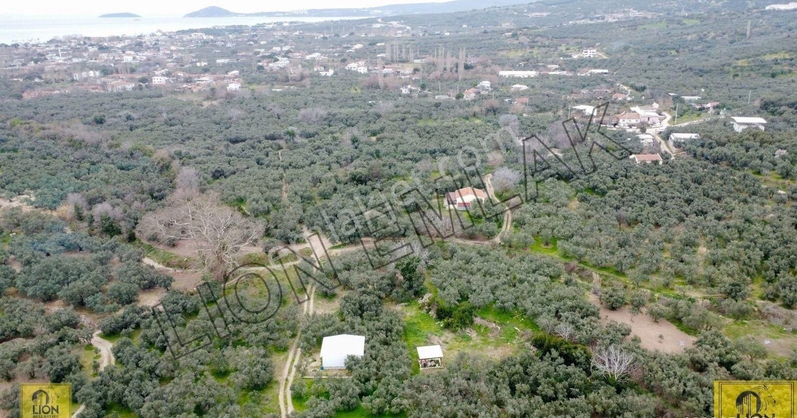 🟨lıon Emlak'tan Erdek Yukarıyapıcı Mahallesi Kadastro Yoluna Yakın Yatırımlık537m²satılık Bahçe⬛ - Görsel 5