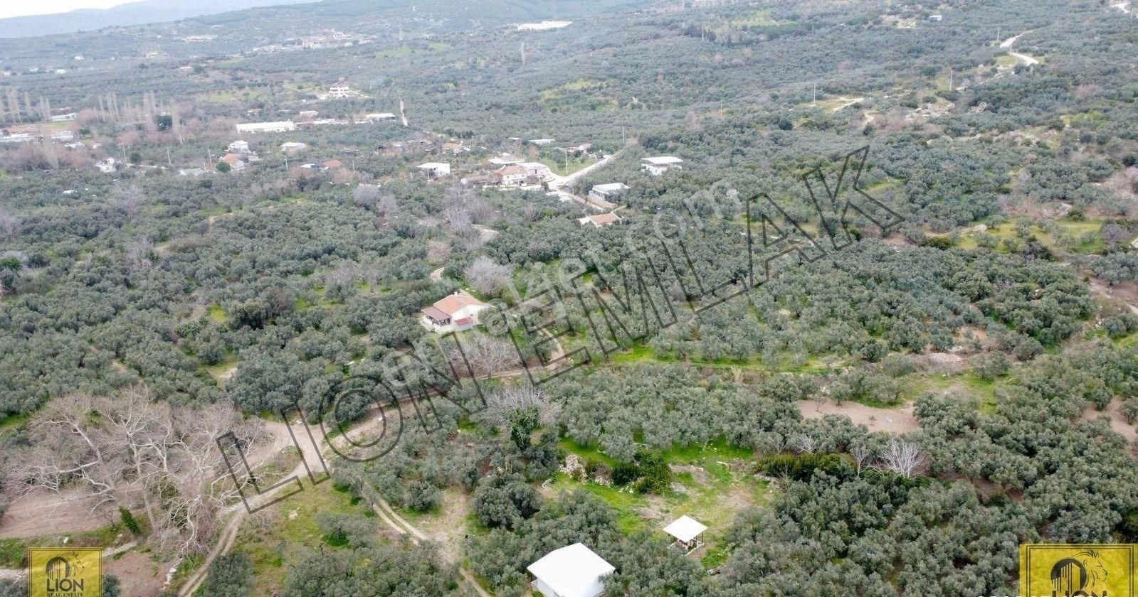 🟨lıon Emlak'tan Erdek Yukarıyapıcı Mahallesi Kadastro Yoluna Yakın Yatırımlık537m²satılık Bahçe⬛ - Görsel 22