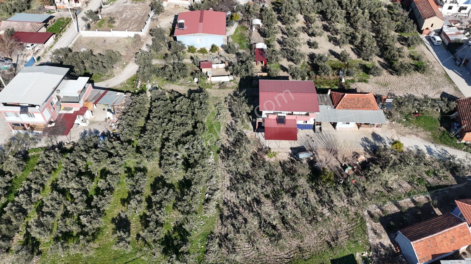 İzmir Menderes Tekelide Konut 1040 M2 3 Kat İmarlı Doğalgaz Merkezde - Görsel 34