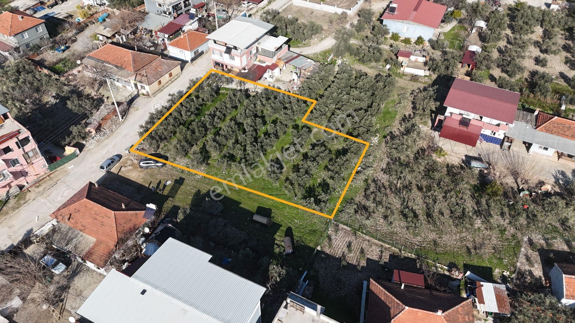 İzmir Menderes Tekelide Konut 1040 M2 3 Kat İmarlı Doğalgaz Merkezde - Görsel 11