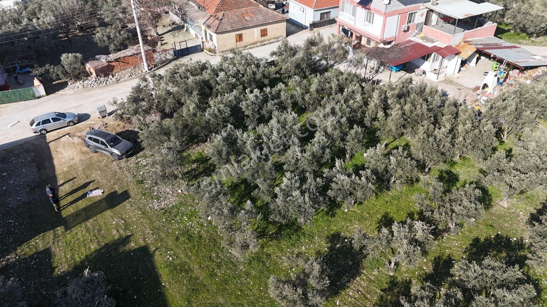 İzmir Menderes Tekelide Konut 1040 M2 3 Kat İmarlı Doğalgaz Merkezde - Görsel 27