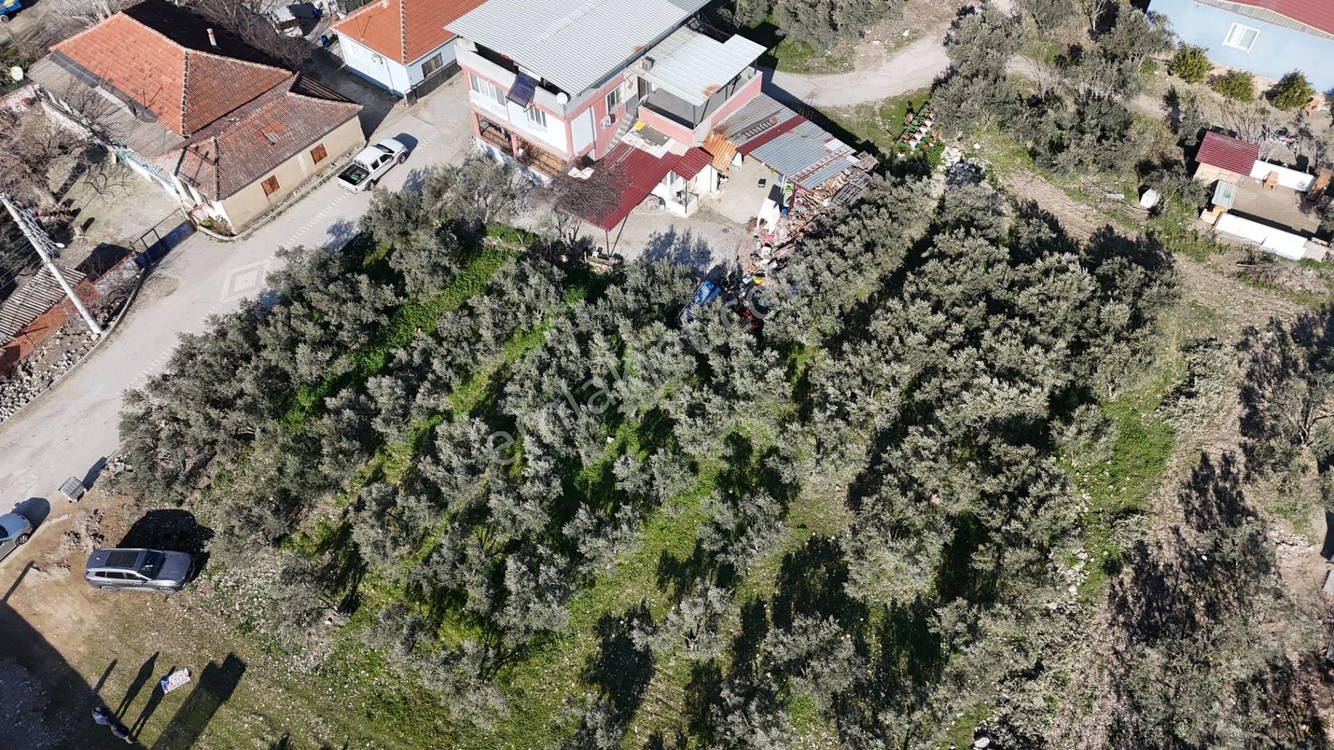 İzmir Menderes Tekelide Konut 1040 M2 3 Kat İmarlı Doğalgaz Merkezde - Görsel 35