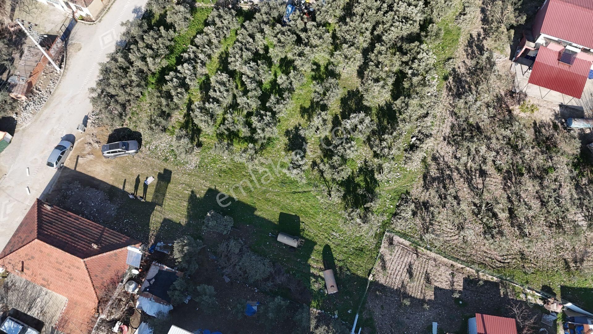 İzmir Menderes Tekelide Konut 1040 M2 3 Kat İmarlı Doğalgaz Merkezde - Görsel 31