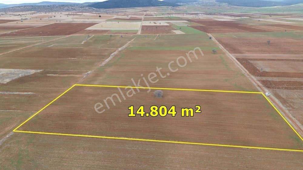 Akören Hacılar Da 14.804 M2 Müstakil Tapulu Arazi - Görsel 2
