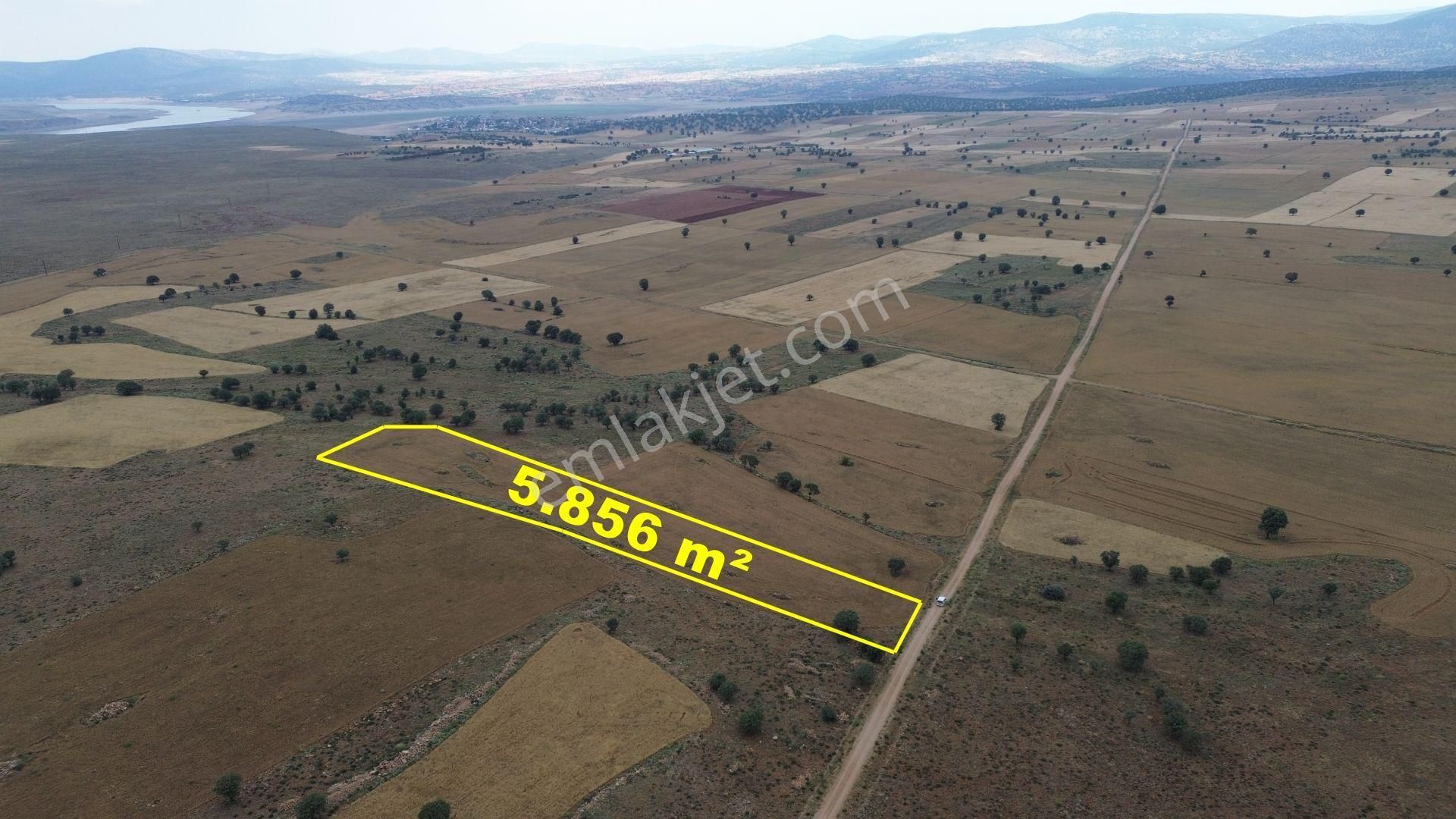 Konya / Çumra / Apasaraycık Mahallesinde 5.856 M² Müstakil Tapulu Tarla - Görsel 2