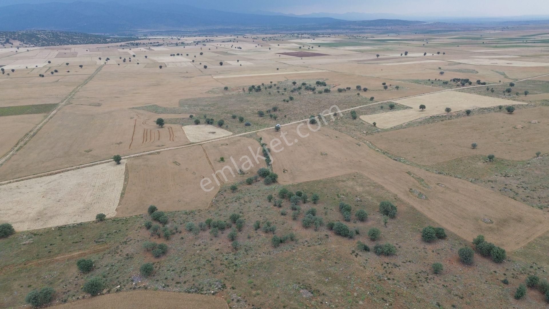 Konya / Çumra / Apasaraycık Mahallesinde 5.856 M² Müstakil Tapulu Tarla - Görsel 6