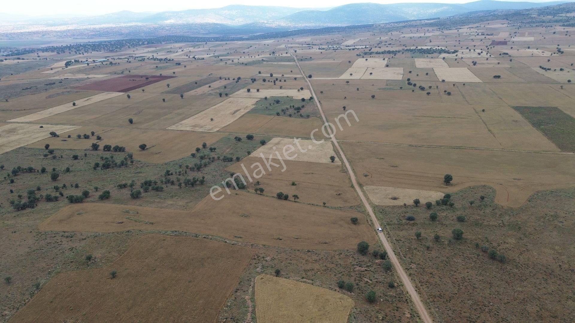 Konya / Çumra / Apasaraycık Mahallesinde 5.856 M² Müstakil Tapulu Tarla - Görsel 8