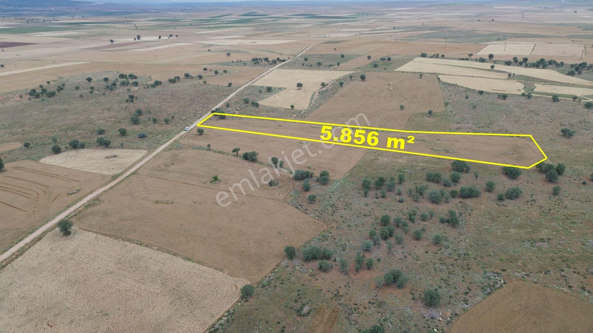 Konya / Çumra / Apasaraycık Mahallesinde 5.856 M² Müstakil Tapulu Tarla - Görsel 7