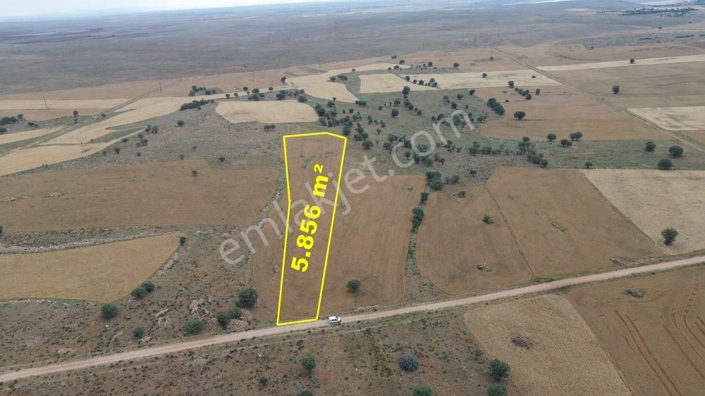 Konya / Çumra / Apasaraycık Mahallesinde 5.856 M² Müstakil Tapulu Tarla