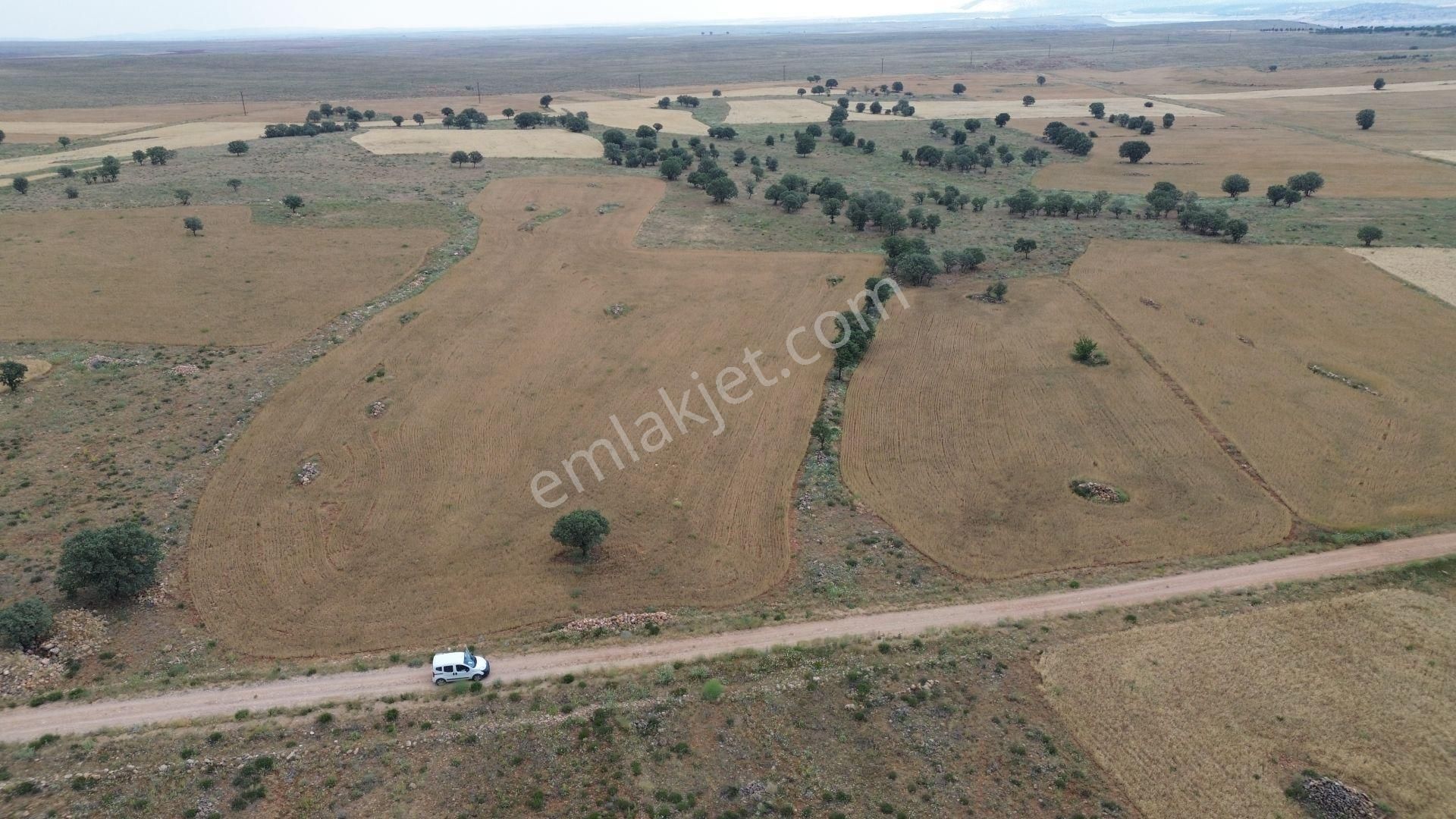 Konya / Çumra / Apasaraycık Mahallesinde 5.856 M² Müstakil Tapulu Tarla - Görsel 5