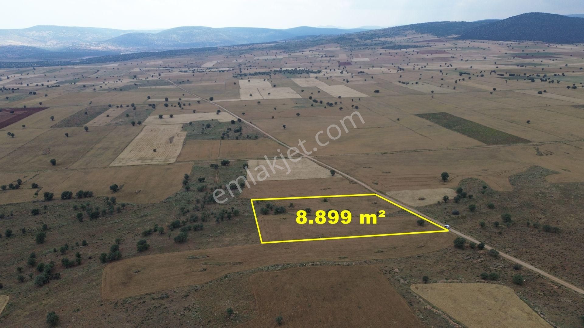 Konya / Çumra / Apasaraycık Mahallesinde 8.899 M² Müstakil Tapulu Tarla - Görsel 2