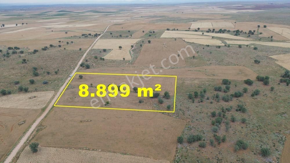 Konya / Çumra / Apasaraycık Mahallesinde 8.899 M² Müstakil Tapulu Tarla - Görsel 6