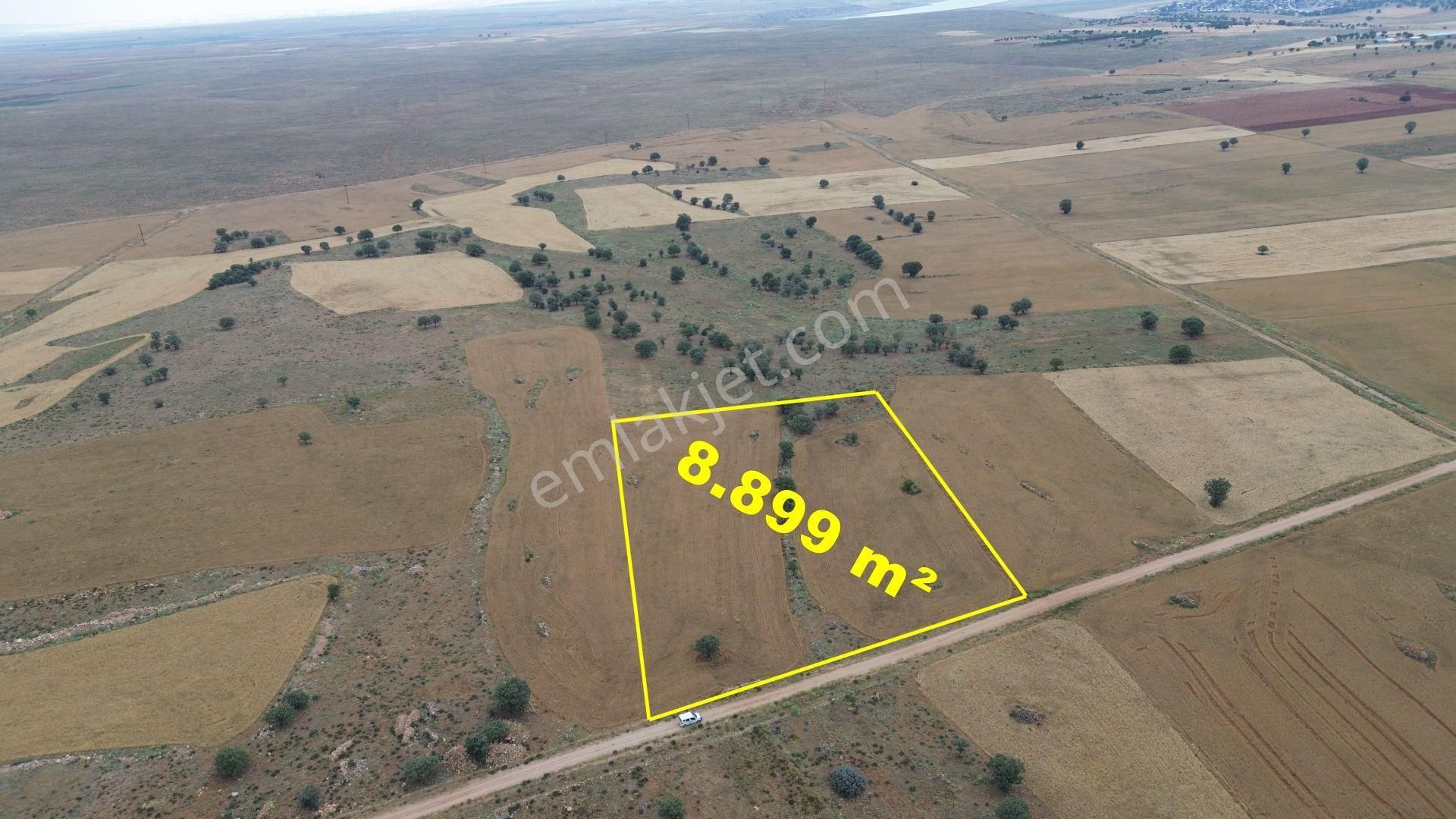 Konya / Çumra / Apasaraycık Mahallesinde 8.899 M² Müstakil Tapulu Tarla