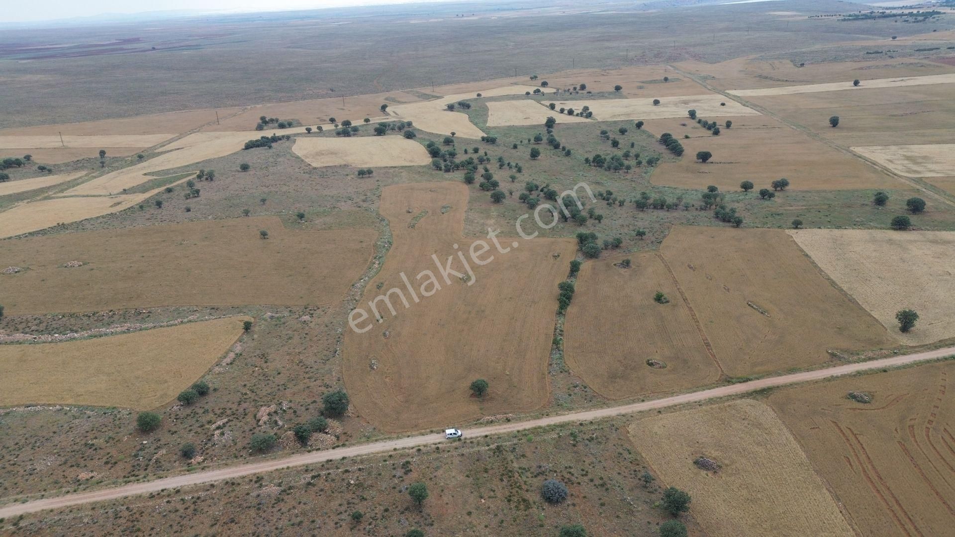 Konya / Çumra / Apasaraycık Mahallesinde 8.899 M² Müstakil Tapulu Tarla - Görsel 7