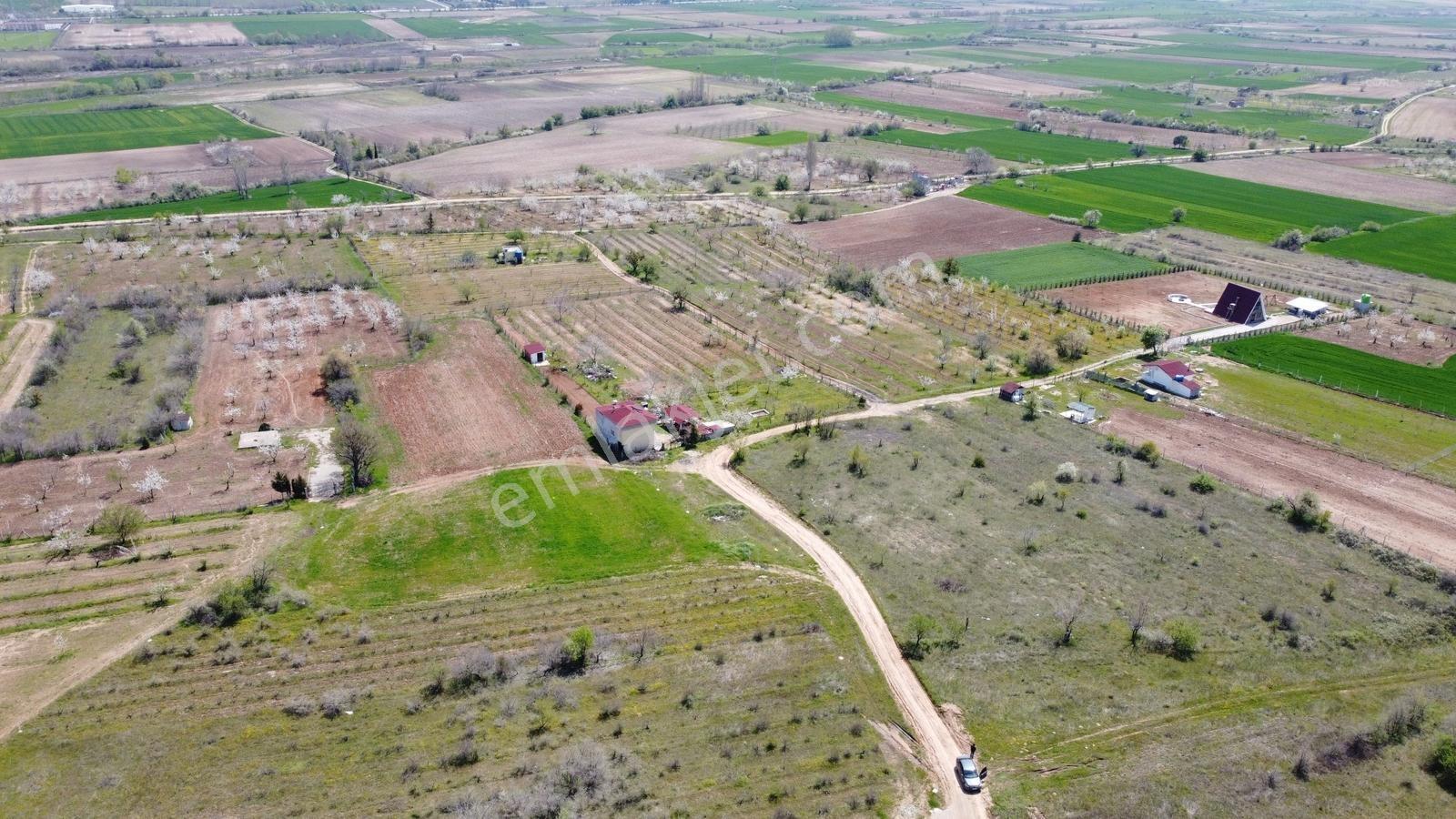 Orman Kenarı-havadar-müstakil Parsel-kw Plus Güvencesi İle-