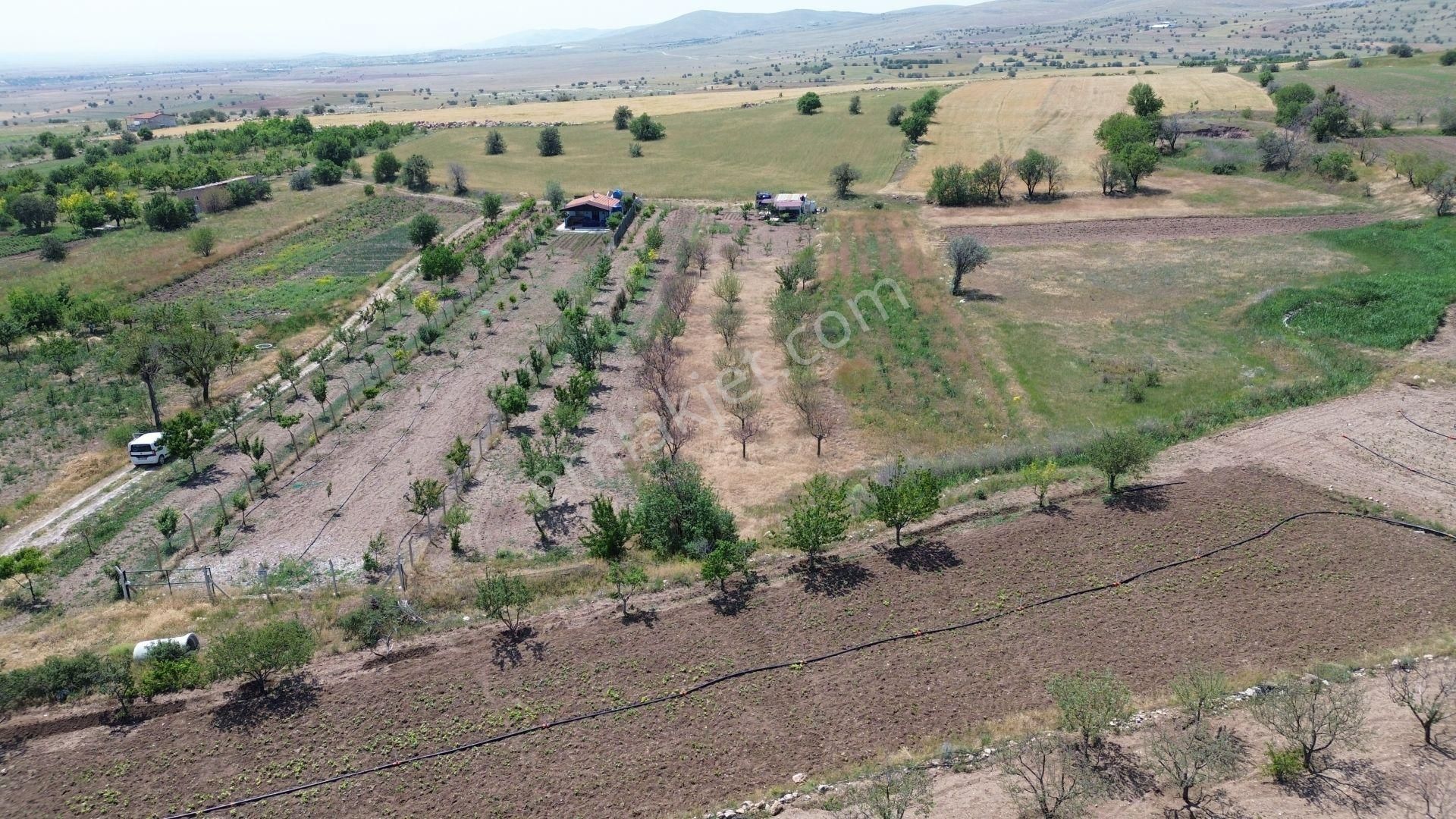 Konya / Meram / Karadiğin Deresi Mahallesinde 1.351 M² Müstakil Tapulu Tarla - Görsel 4