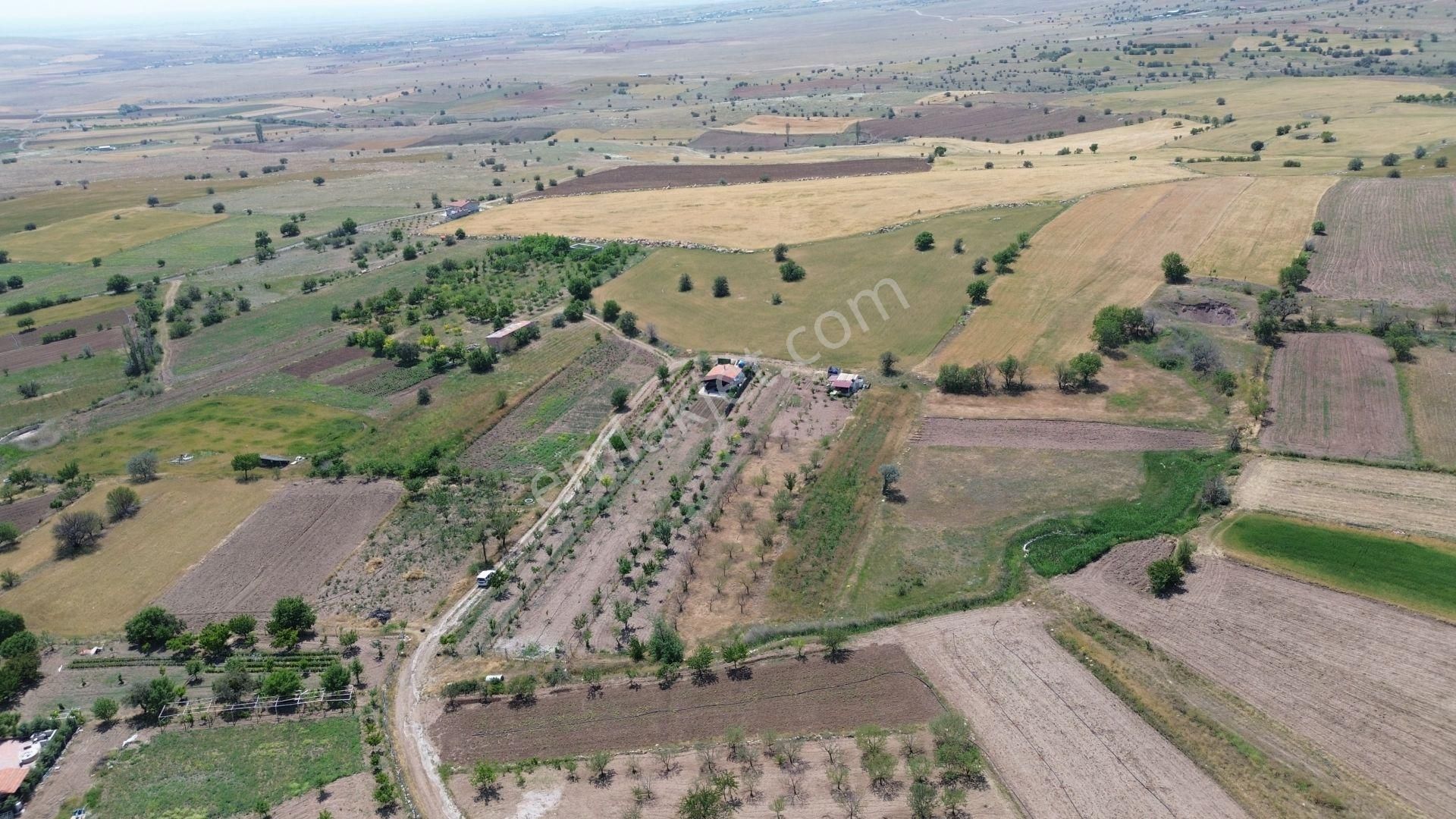 Konya / Meram / Karadiğin Deresi Mahallesinde 1.351 M² Müstakil Tapulu Tarla - Görsel 2