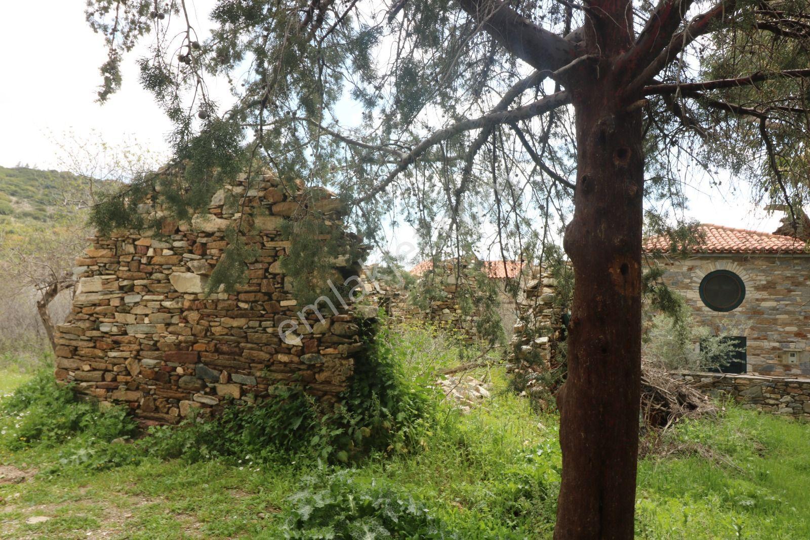 Eski Doğanbey'de, İçinde Yıkık Ev Bulunan Arsa - Görsel 31