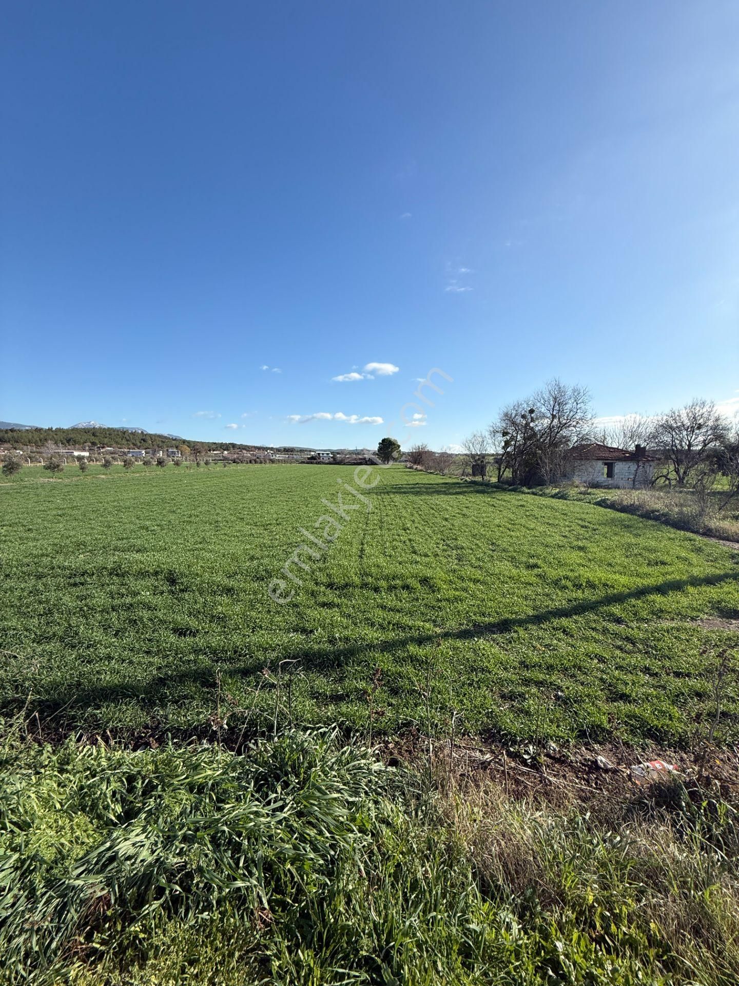 Turyap Buca'dan Karacağaçta Satılık Muhteşem Tarla - Görsel 2