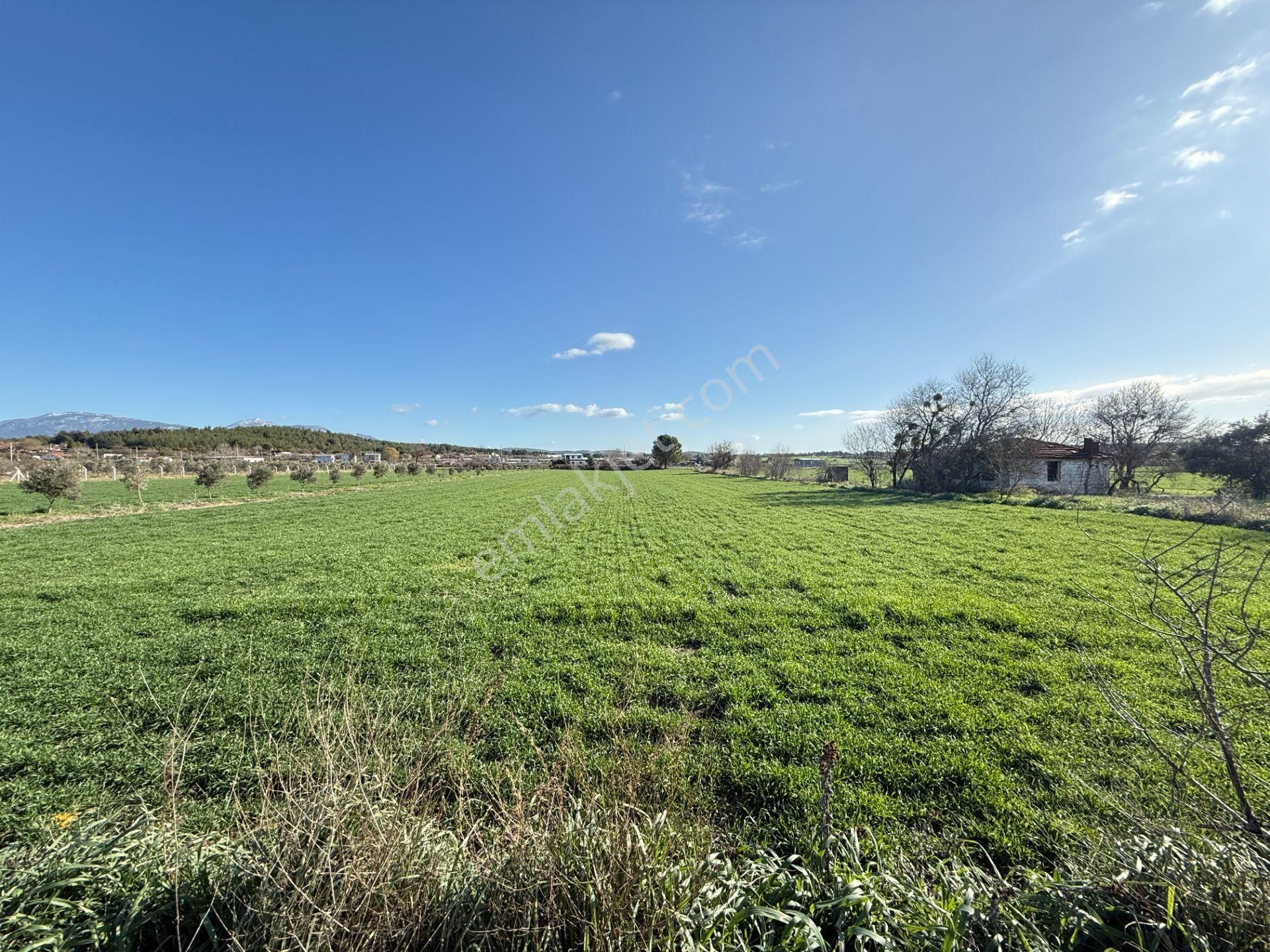 Turyap Buca'dan Karacağaçta Satılık Muhteşem Tarla - Görsel 3