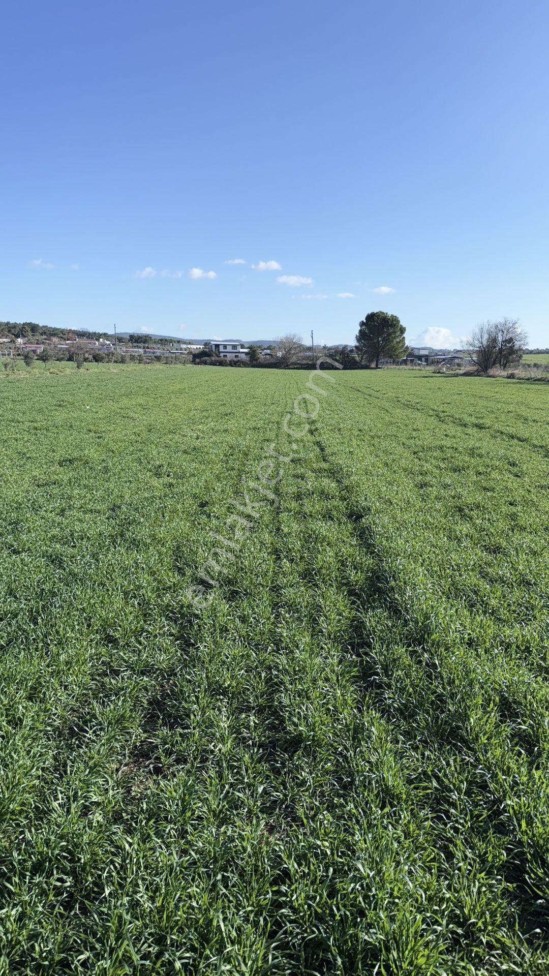 Turyap Buca'dan Karacağaçta Satılık Muhteşem Tarla - Görsel 7