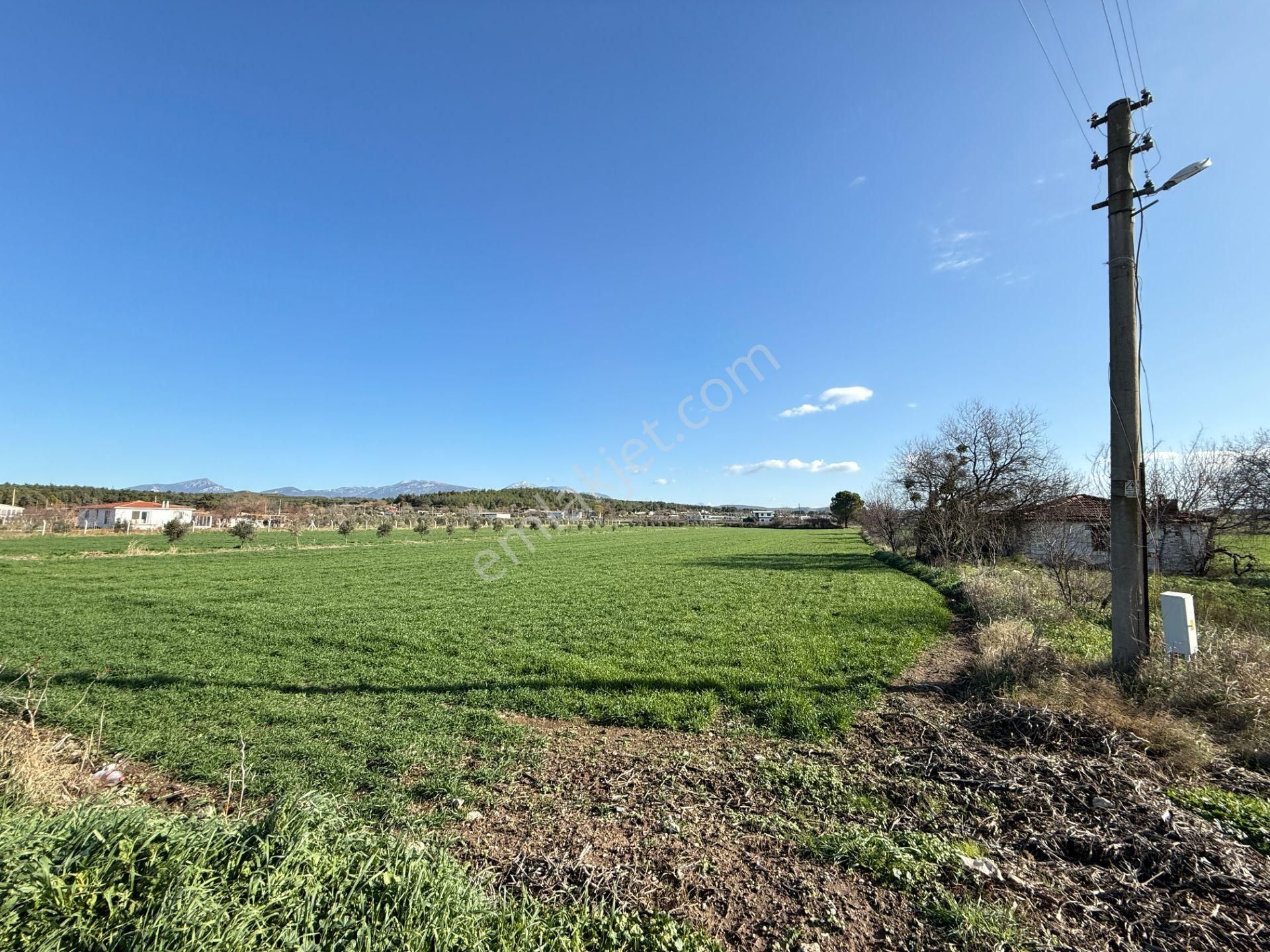 Turyap Buca'dan Karacağaçta Satılık Muhteşem Tarla