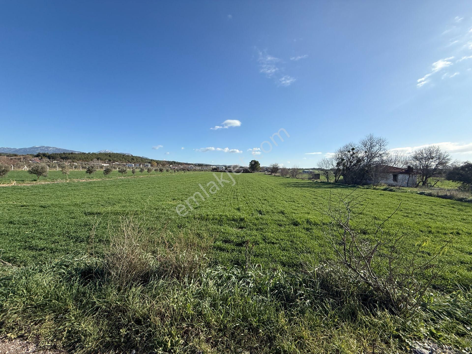 Turyap Buca'dan Karacağaçta Satılık Muhteşem Tarla - Görsel 6