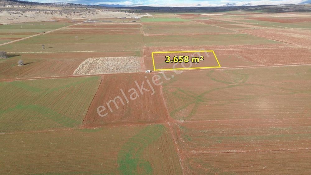 Akören Hacılar Da 3.658 M2 Müstakil Tapulu Arazi - Görsel 2