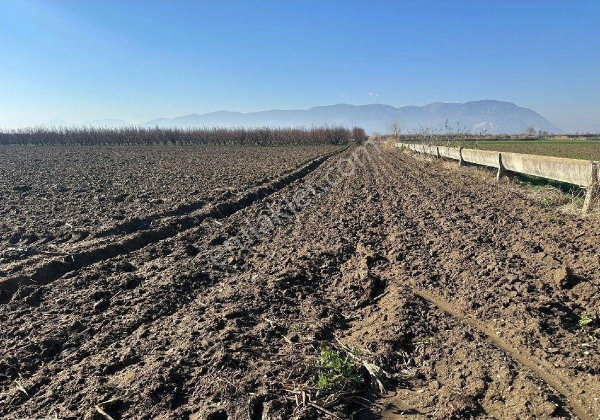 Manisa Turgutlu,da 4393m2 Tarla