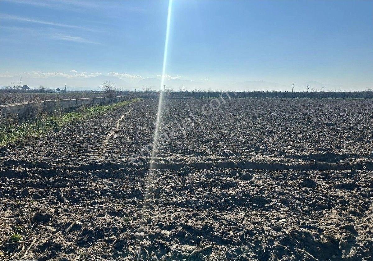 Manisa Turgutlu,da 4393m2 Tarla - Görsel 5