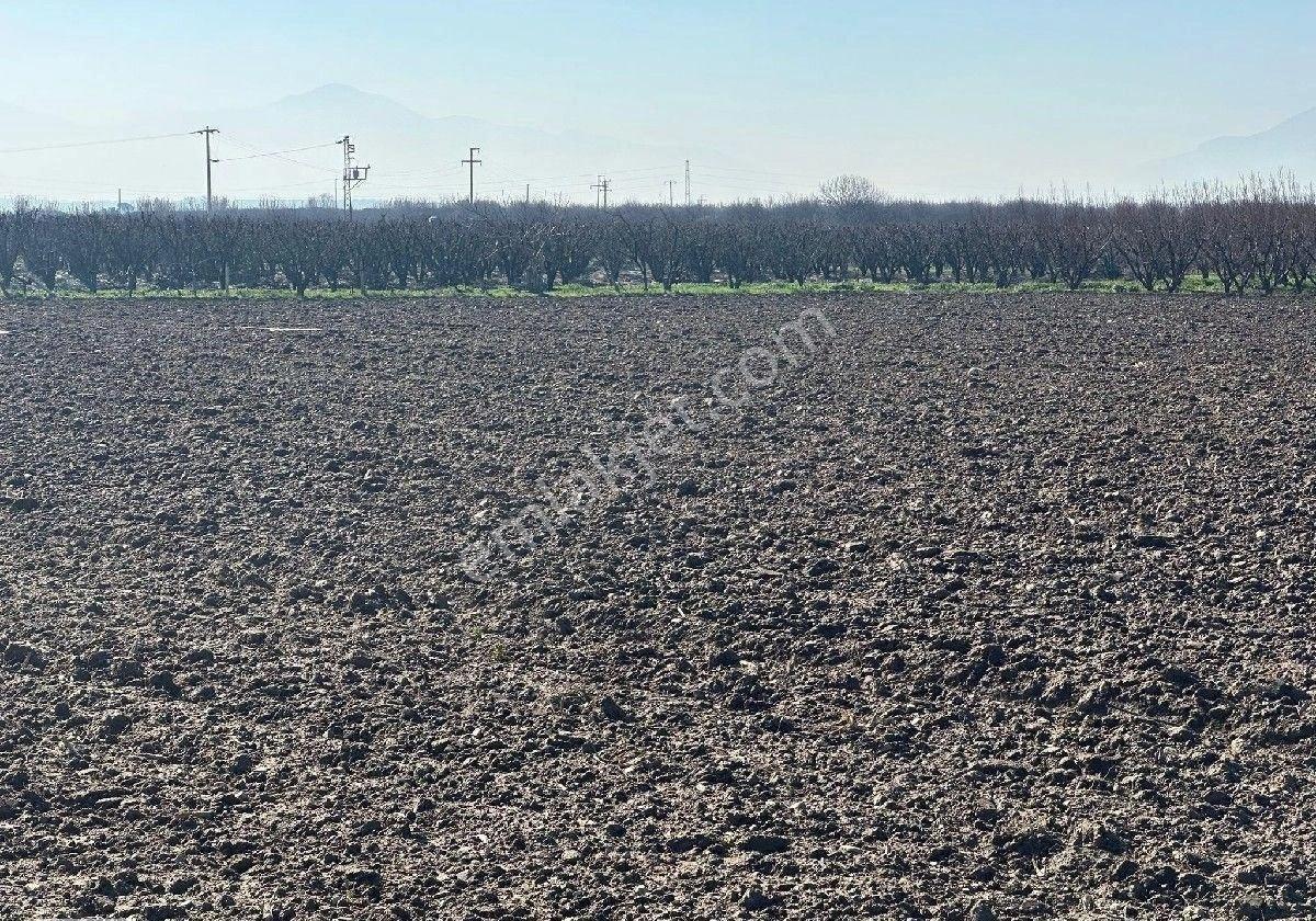 Manisa Turgutlu,da 4393m2 Tarla - Görsel 6