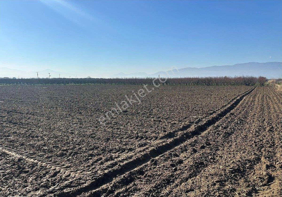 Manisa Turgutlu,da 4393m2 Tarla - Görsel 12