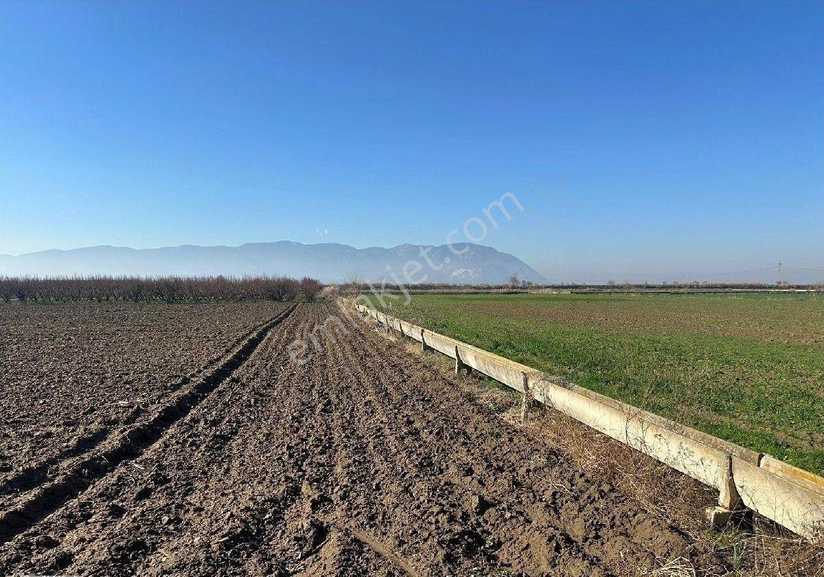 Manisa Turgutlu,da 4393m2 Tarla - Görsel 4