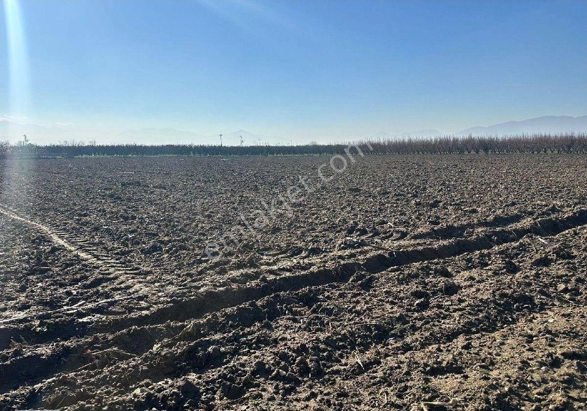 Manisa Turgutlu,da 4393m2 Tarla - Görsel 3