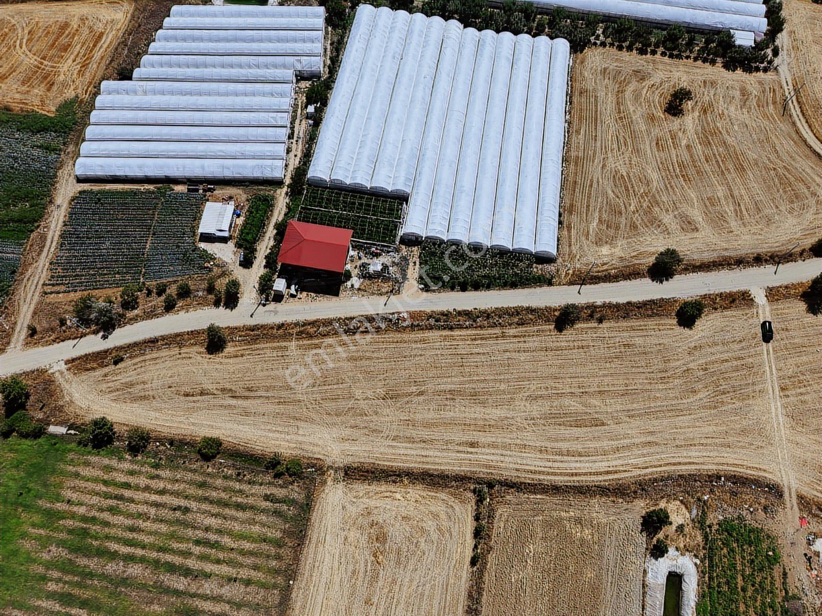 Bmk'dan Antalya Elmalı Akçayda Yol Kenarı Tarla - Görsel 11