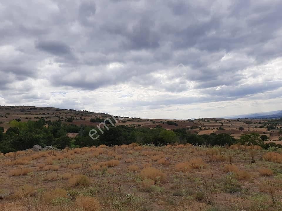 7250m2 Ulaş Köyün'de Kiralık Sulak Tarım Arazisi