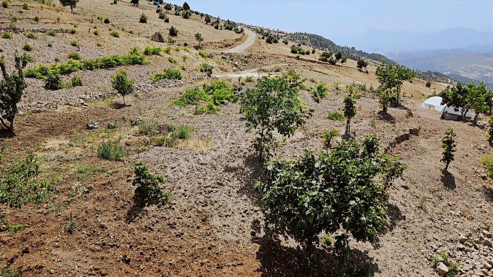 Rızık Gayrimenkul'den Sarıçukur'da 2 Katlı Ev+5015 M² Bağ - Görsel 10