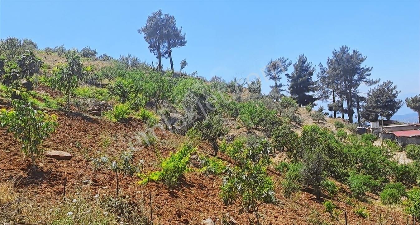 Rızık Gayrimenkul'den Sarıçukur'da 2 Katlı Ev+5015 M² Bağ - Görsel 8