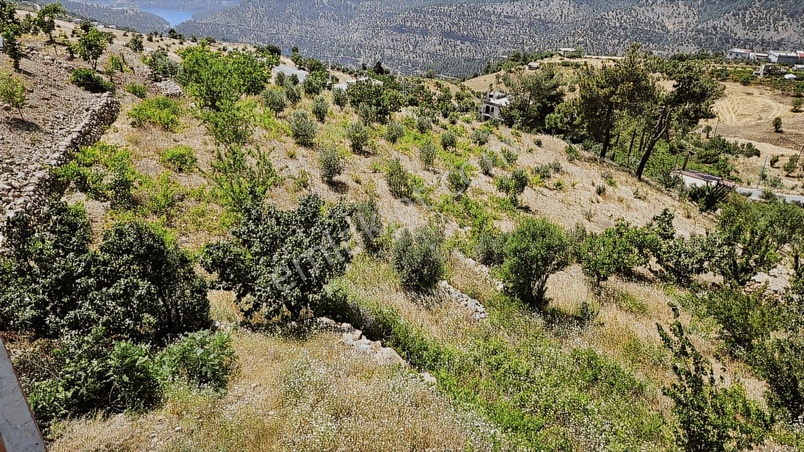 Rızık Gayrimenkul'den Sarıçukur'da 2 Katlı Ev+5015 M² Bağ - Görsel 5