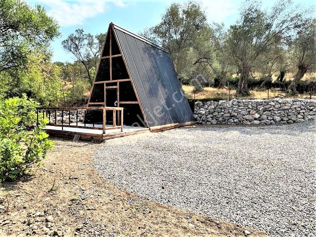 🌳havran Kalabak'ta Aygül'den 300 M2 İçerisinde 42 M2 Tıny House Bulunan Satılık Kaçmaz Hobi Bahçesi - Görsel 13
