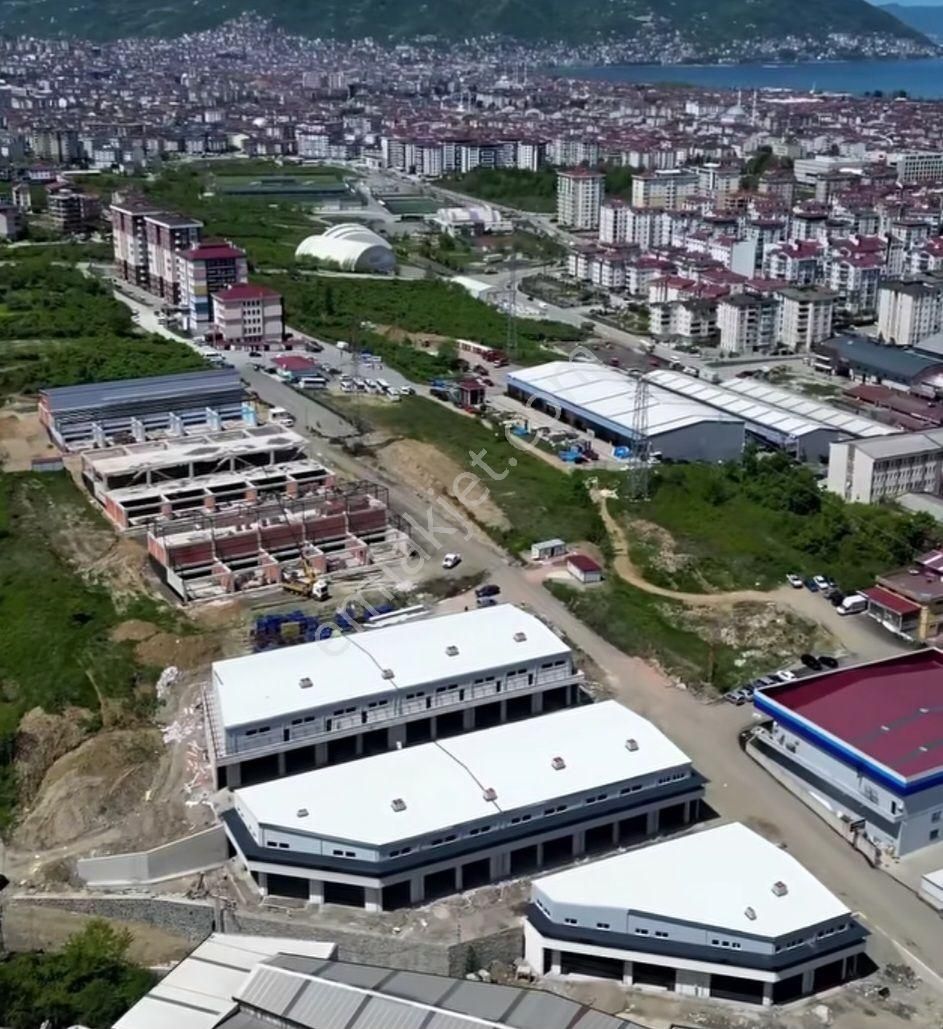 Tercan Sanayii Sitesi Dükkanları Tamamlanmış Satışa Ve Kiralığa - Görsel 9