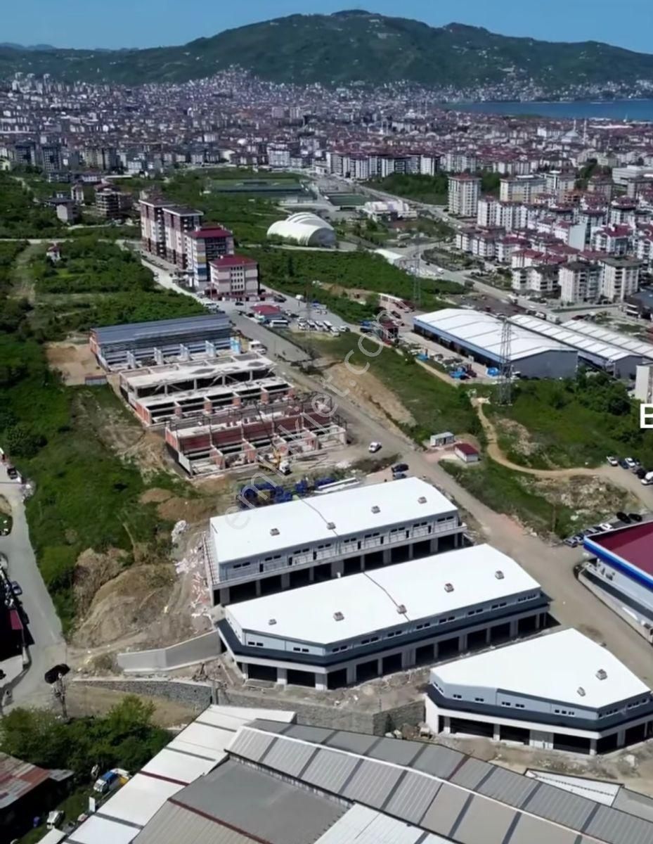 Tercan Sanayii Sitesi Dükkanları Tamamlanmış Satışa Ve Kiralığa - Görsel 2