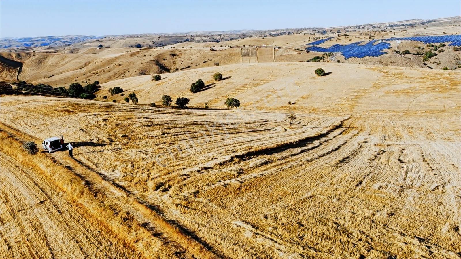 -çardakbagın Da Yol Kenarı Kök Tek Tapu- - Görsel 34