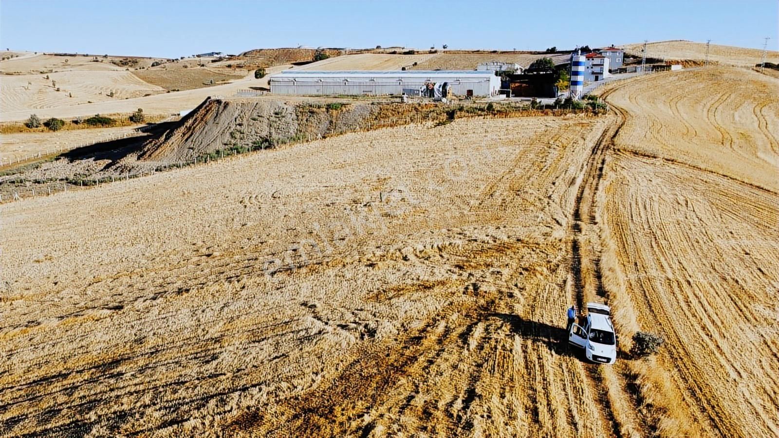 -çardakbagın Da Yol Kenarı Kök Tek Tapu-