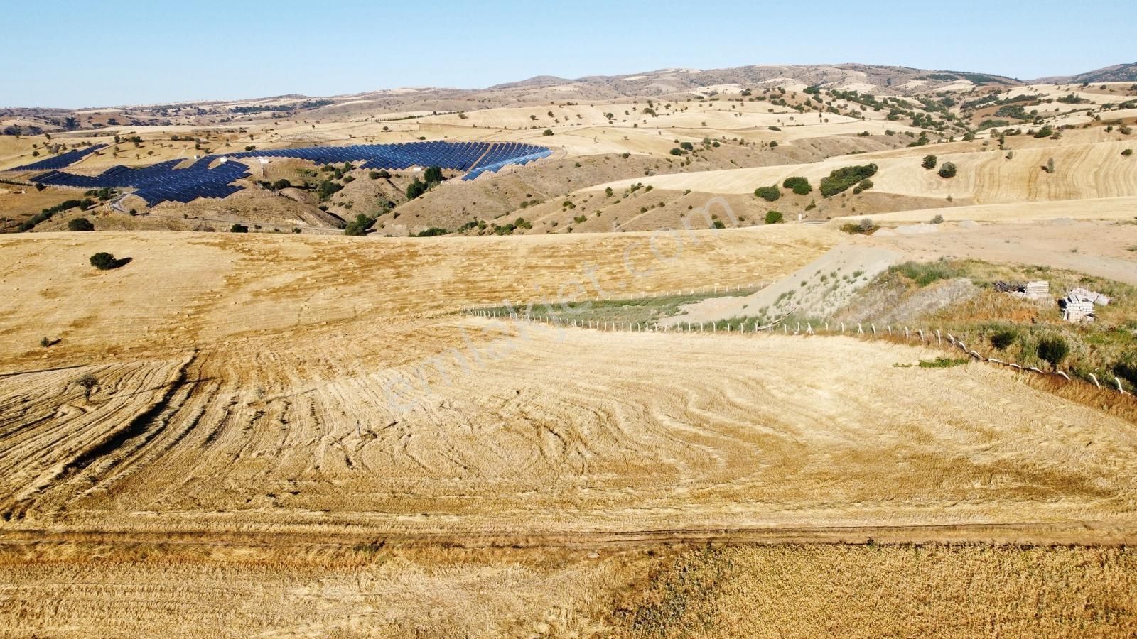 -çardakbagın Da Yol Kenarı Kök Tek Tapu- - Görsel 32