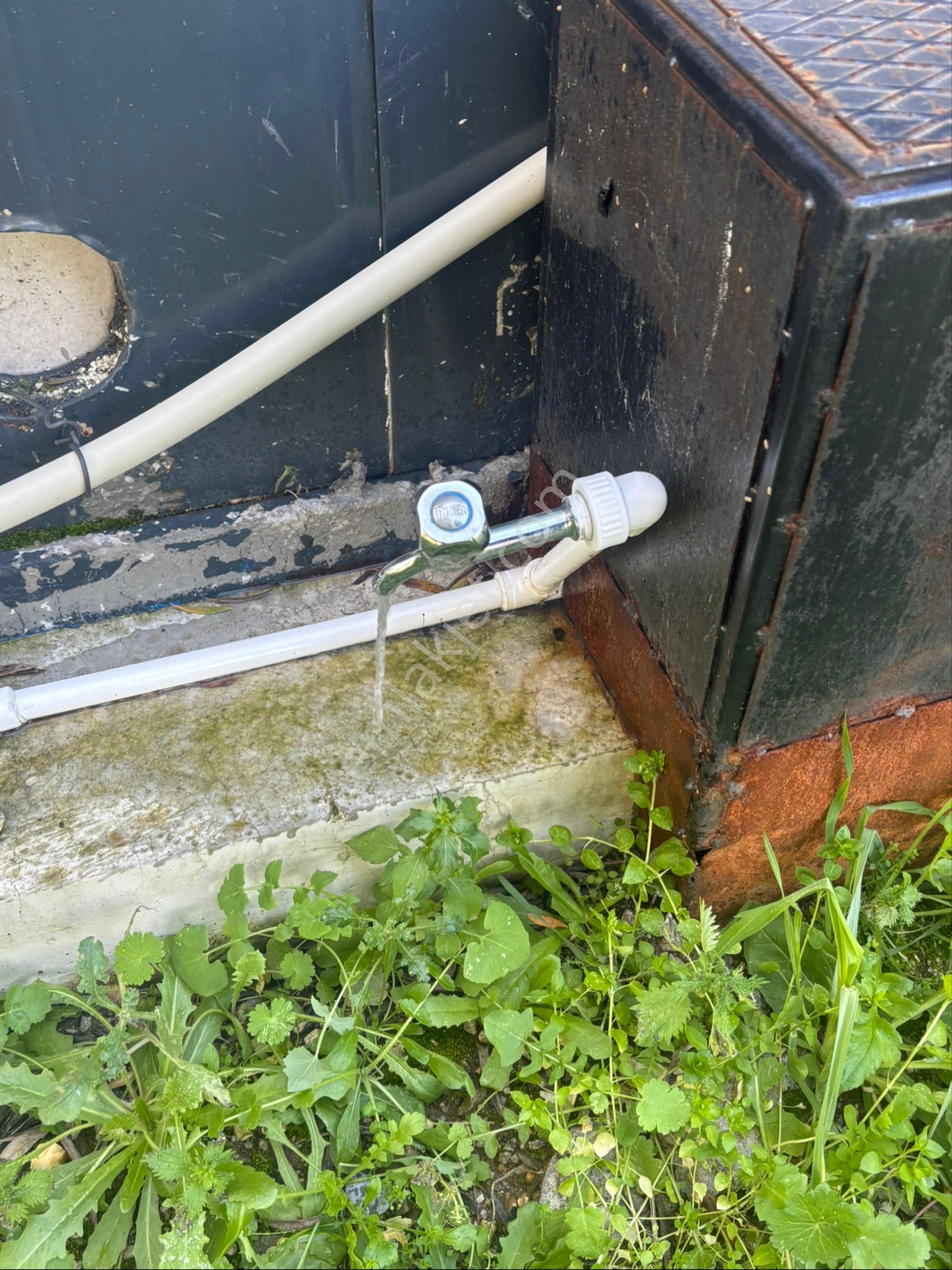 Sezgin Emlak Dan Güzelköy Asfalt Kenarı Elk Ve Su Abonelikli Zeytinlik Satılık - Görsel 5