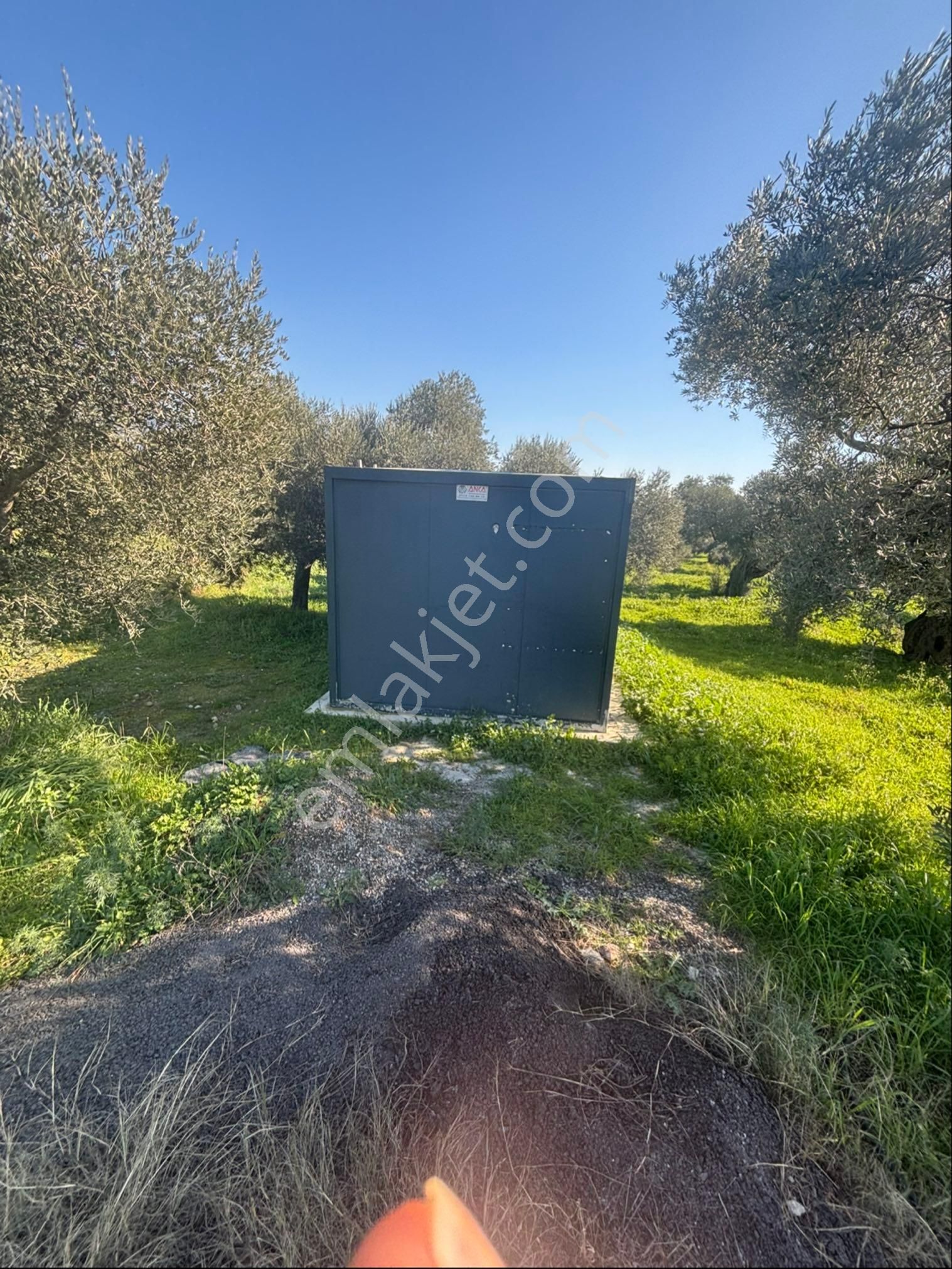 Sezgin Emlak Dan Güzelköy Asfalt Kenarı Elk Ve Su Abonelikli Zeytinlik Satılık - Görsel 2